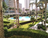 Revente - Apartment - Benidorm - Benidorm Centro