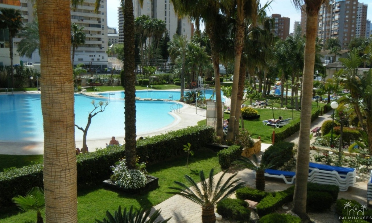 Revente - Apartment - Benidorm - Benidorm Centro