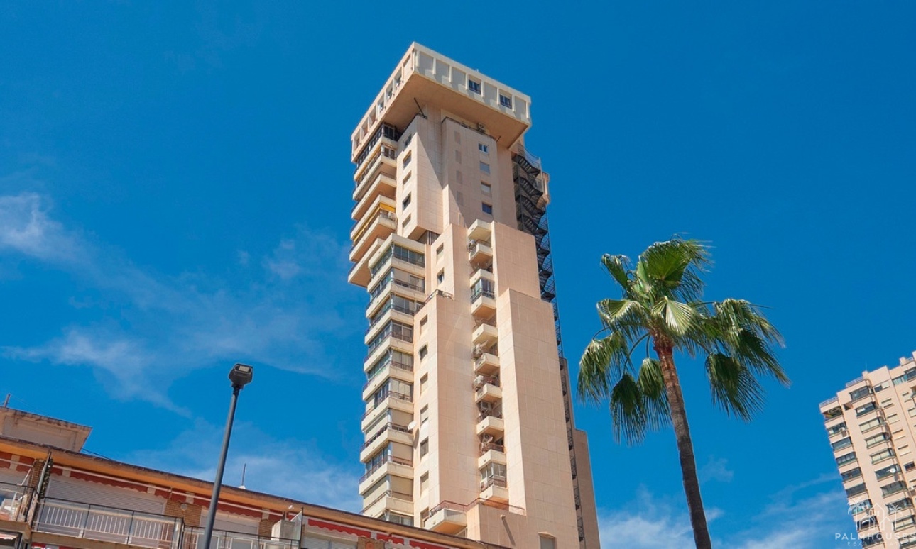 Revente - Apartment - Benidorm - Benidorm Centro
