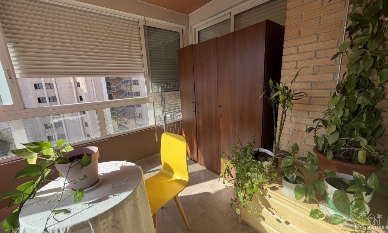 Revente - Apartment - Benidorm - Benidorm Centro