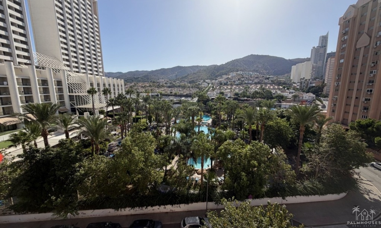 Revente - Apartment - Benidorm - Benidorm Centro