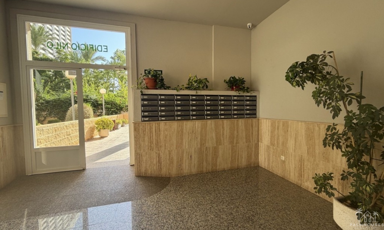 Revente - Apartment - Benidorm - Benidorm Centro