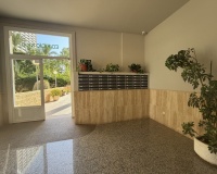 Revente - Apartment - Benidorm - Benidorm Centro