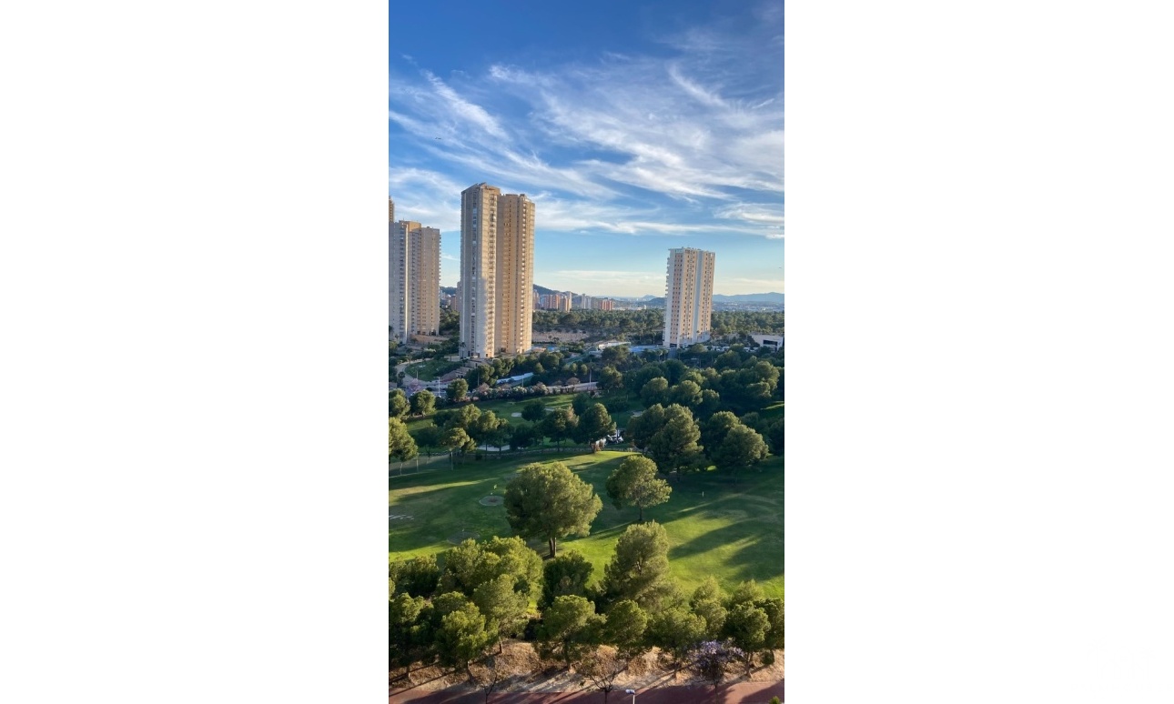 Revente - Apartment - Benidorm - Benidorm Centro