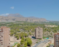 Revente - Apartment - Benidorm - Benidorm Centro