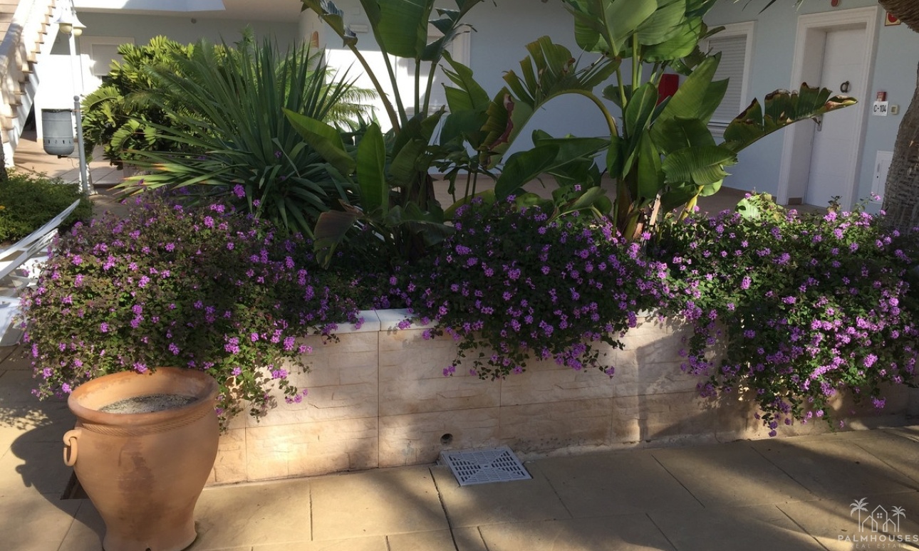 Revente - Apartment - Benissa - La Fustera