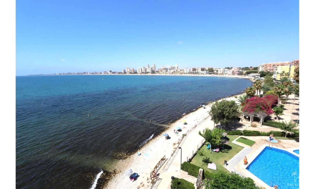 Revente - Apartment - Campello - El Campello - Campello - El Campello Centro