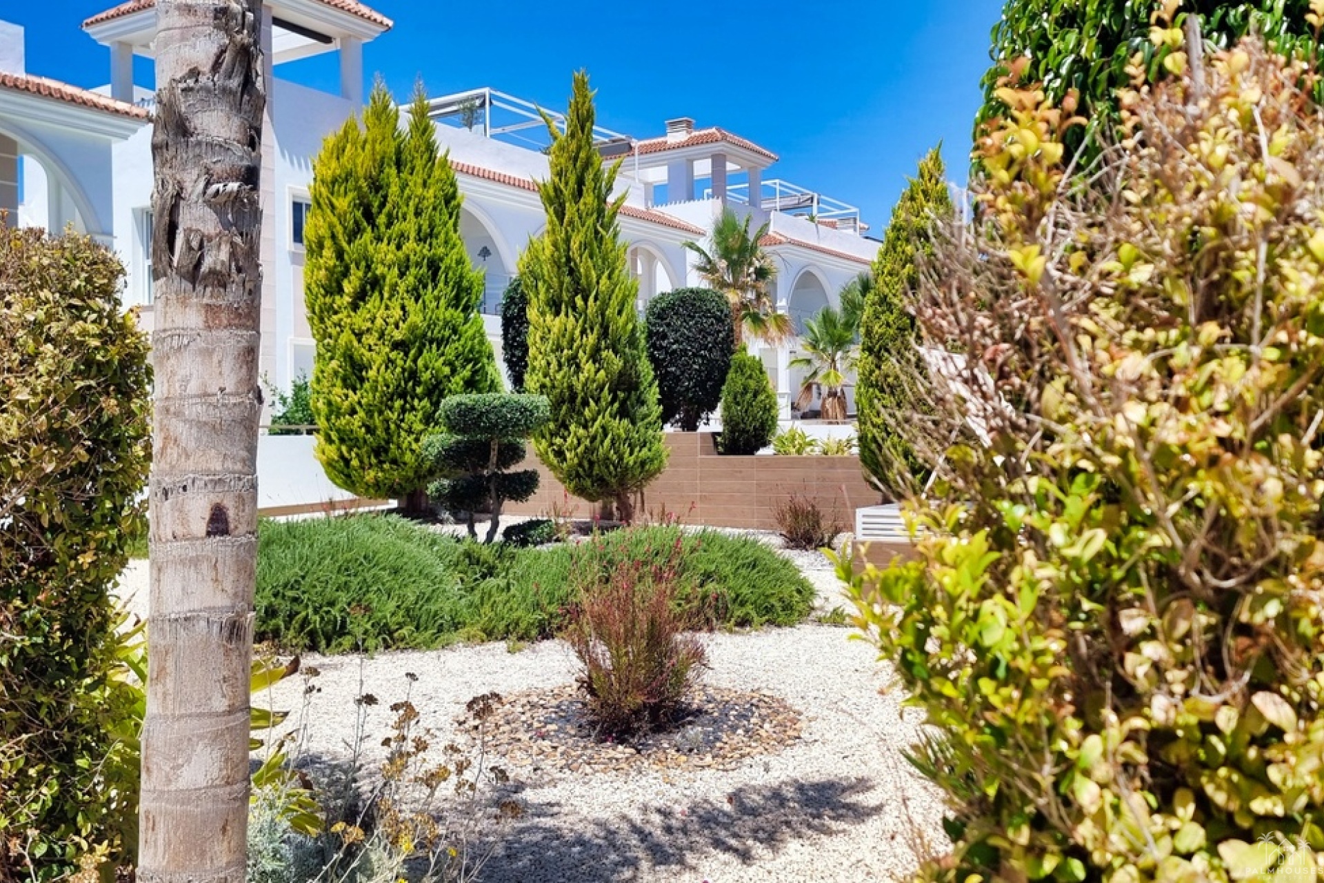 Revente - Apartment - Ciudad Quesada - Doña Pepa