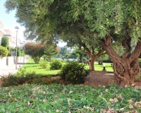Revente - Apartment - Denia - Costa Blanca