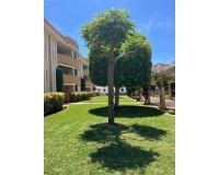Revente - Apartment - Denia - Denia Centro