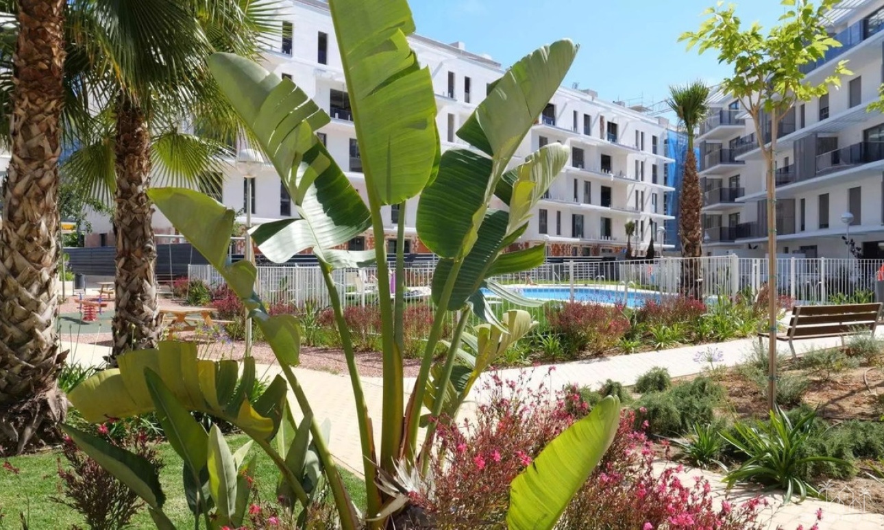 Revente - Apartment - Denia - Denia Centro