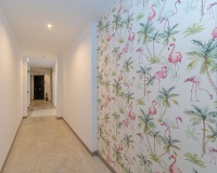 Revente - Apartment - Formentera del Segura - Formentera del Segura Centro