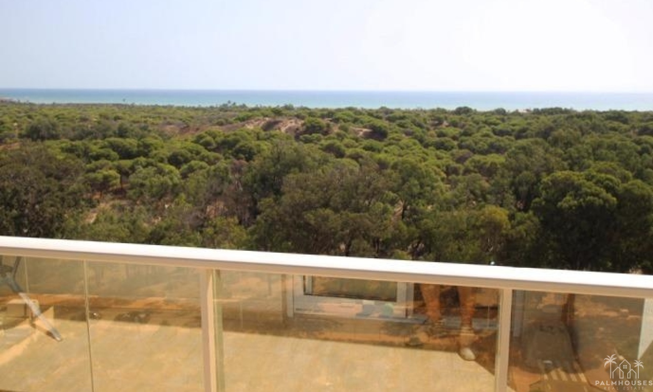 Revente - Apartment - Guardamar del Segura - Avenida Del Puerto