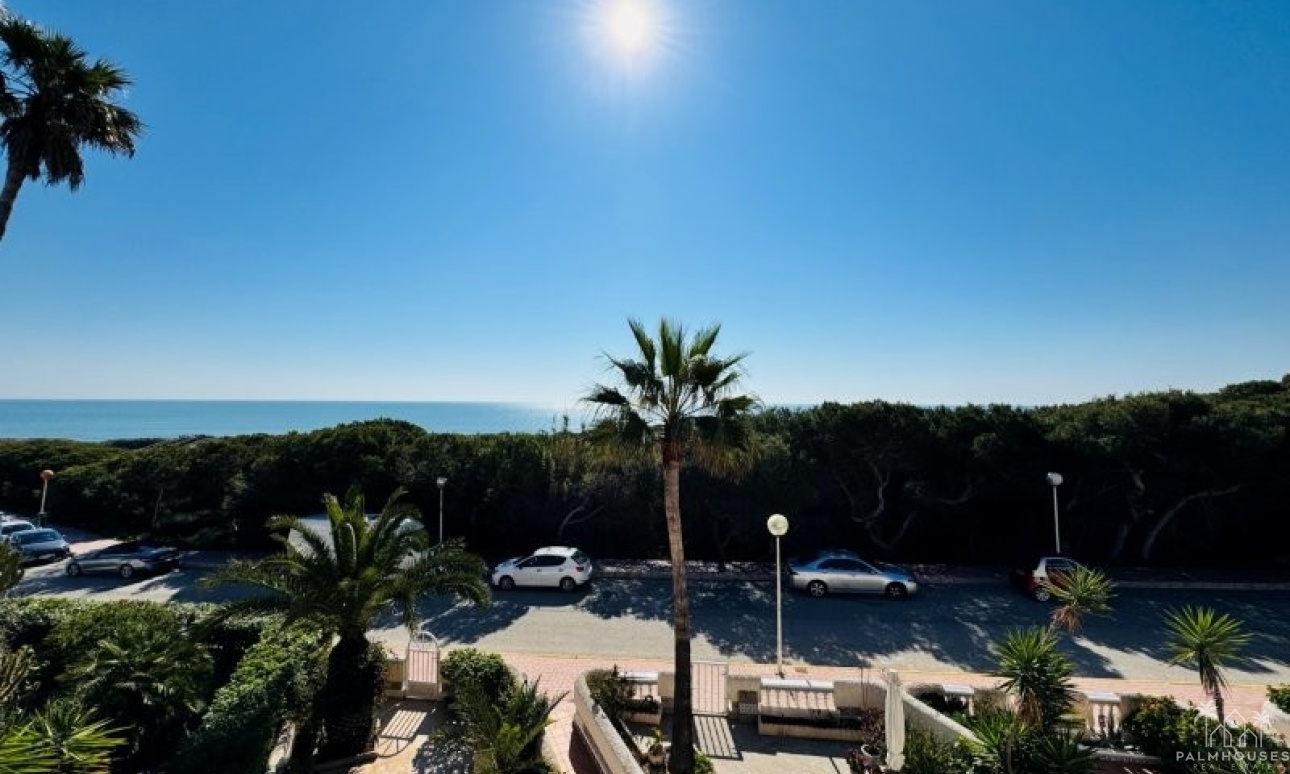 Revente - Apartment - Guardamar del Segura - Costa Blanca