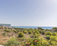Revente - Apartment - Guardamar del Segura - Costa Blanca