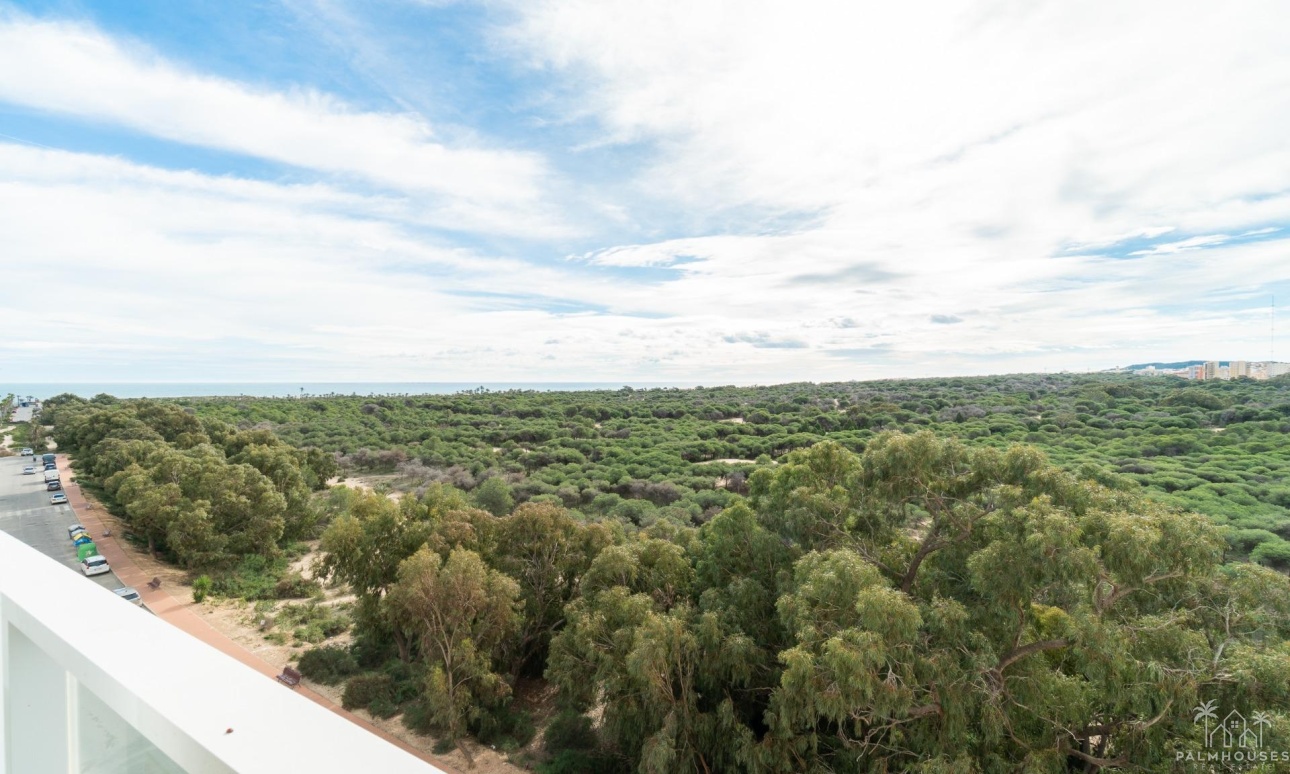 Revente - Apartment - Guardamar del Segura - Guardamar Playa