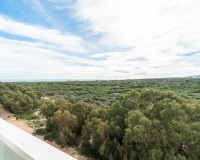 Revente - Apartment - Guardamar del Segura - Guardamar Playa