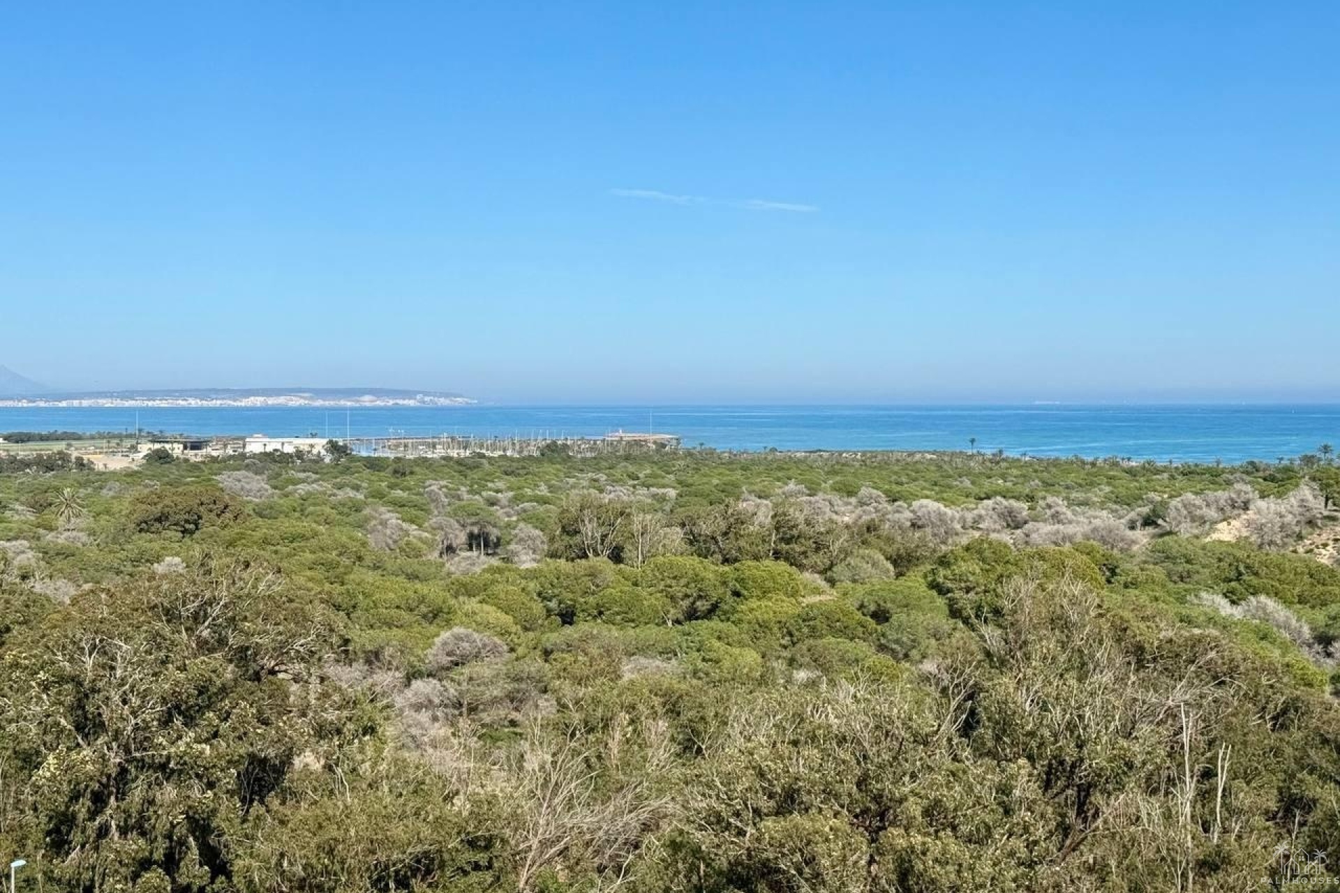 Revente - Apartment - Guardamar del Segura - Puerto
