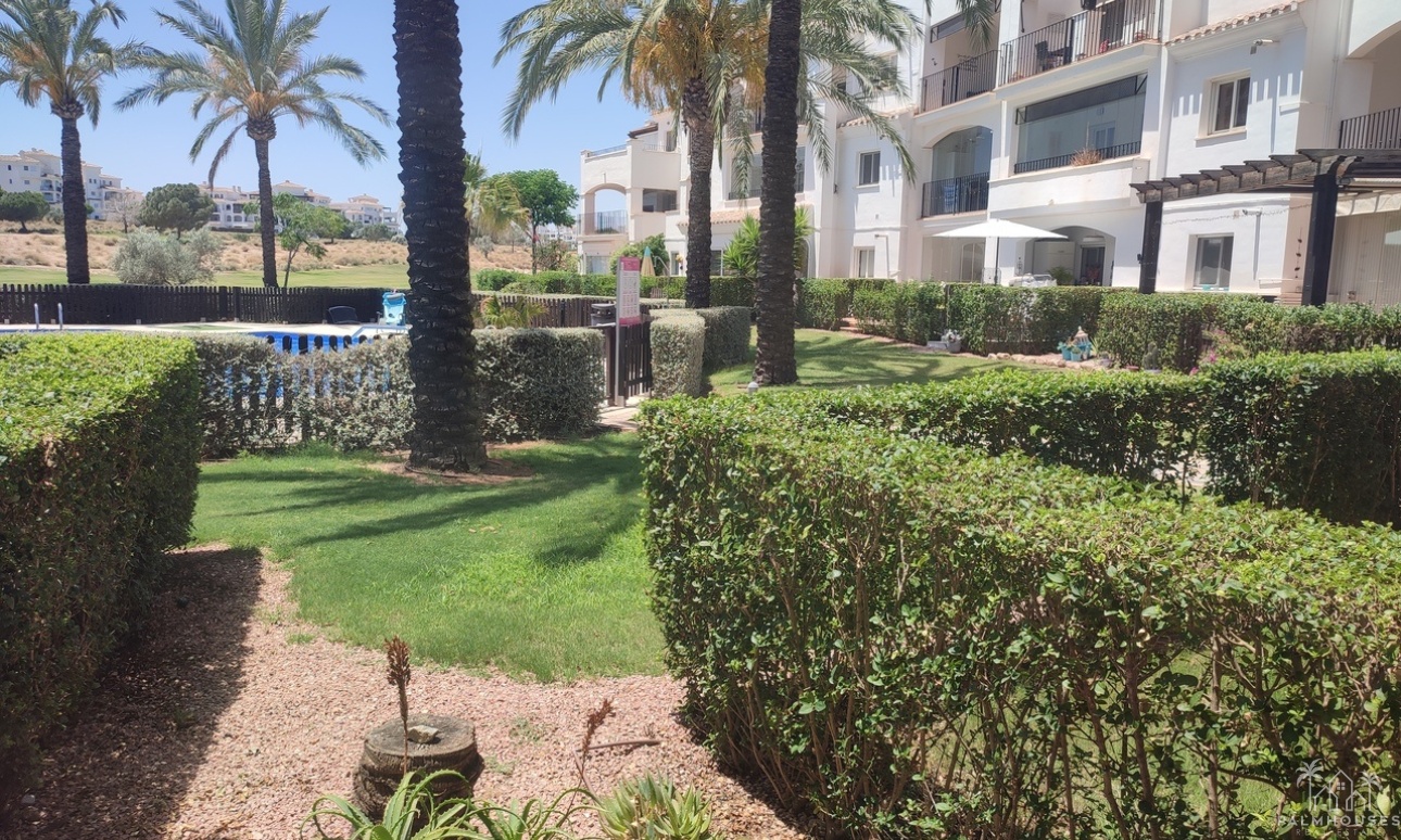 Revente - Apartment - Hacienda Riquelme Golf Resort - Inland