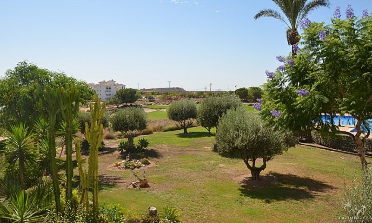 Revente - Apartment - Hacienda Riquelme Golf Resort - Inland