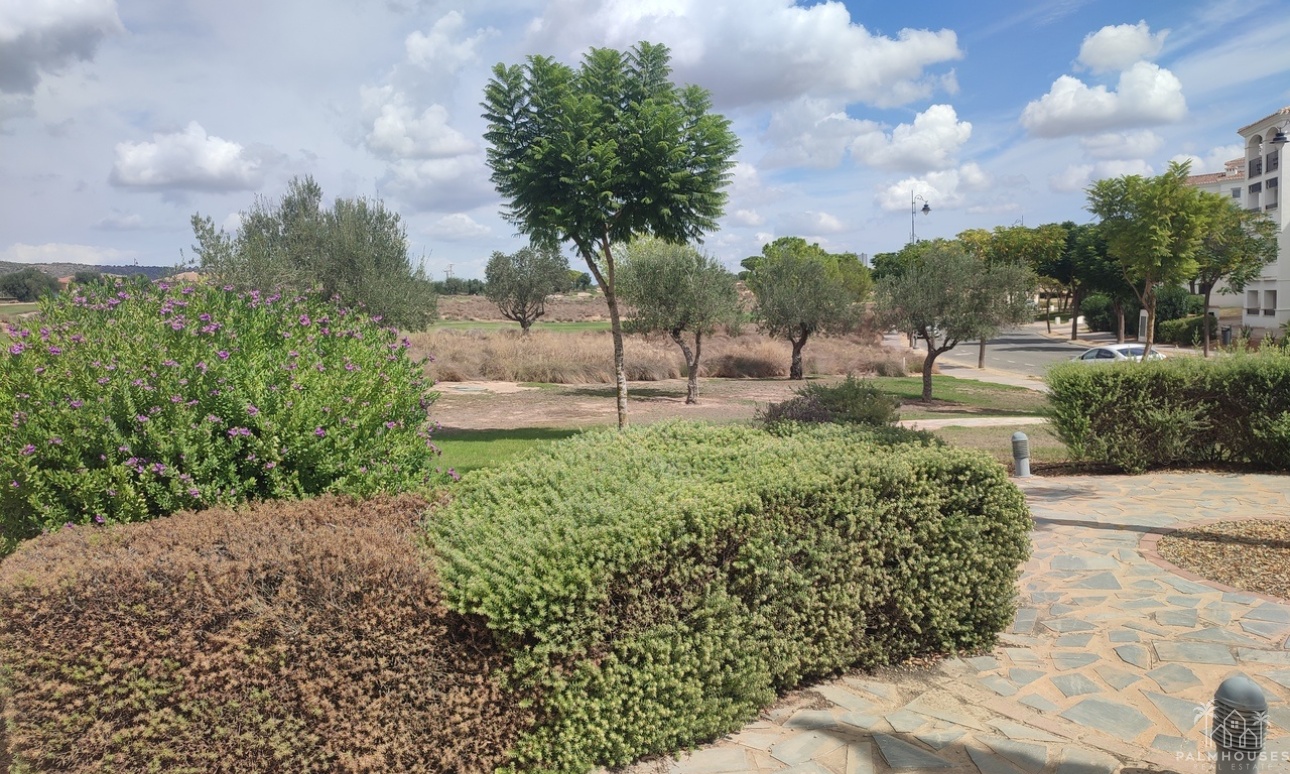 Revente - Apartment - Hacienda Riquelme Golf Resort - Inland