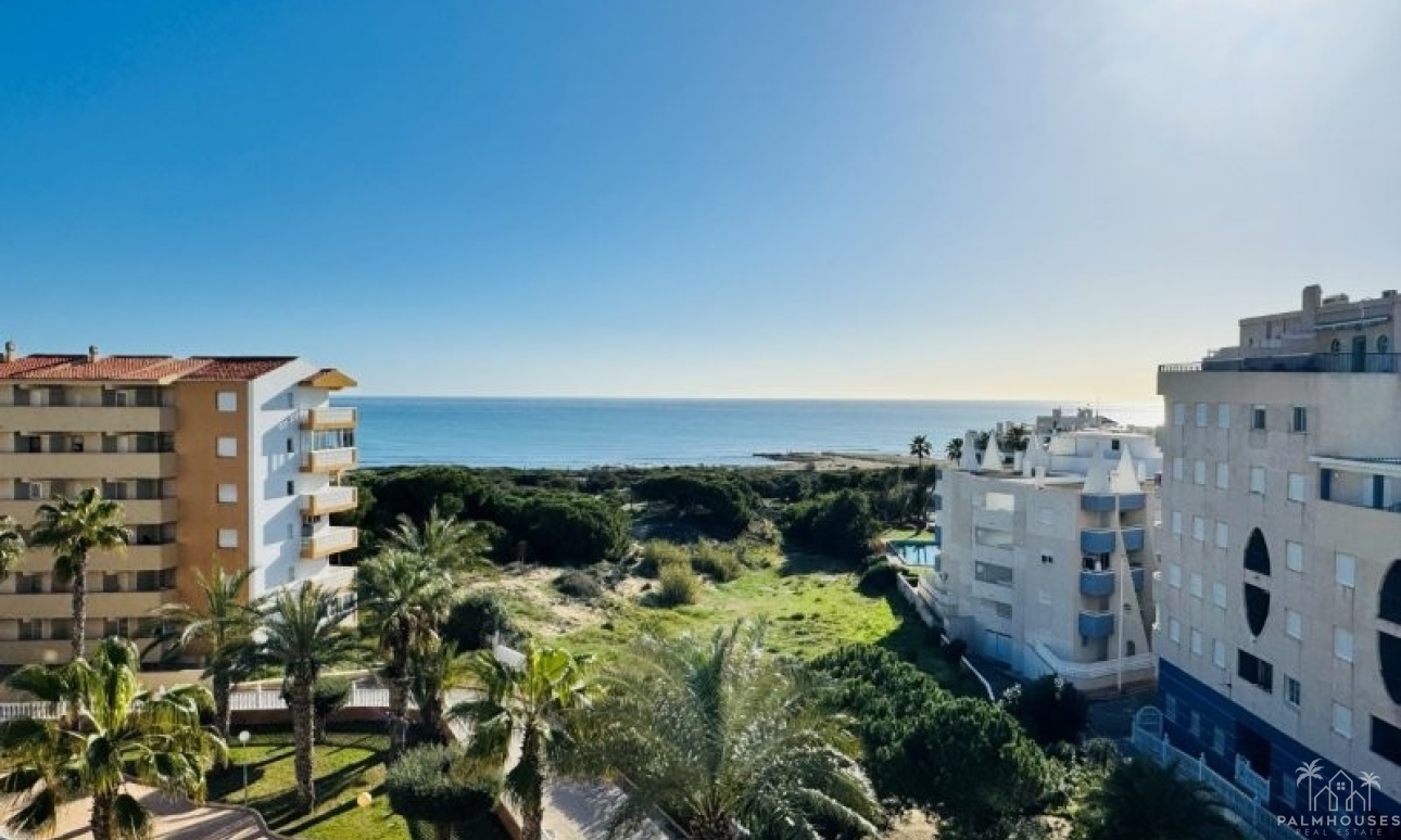 Revente - Apartment - La Mata - Costa Blanca
