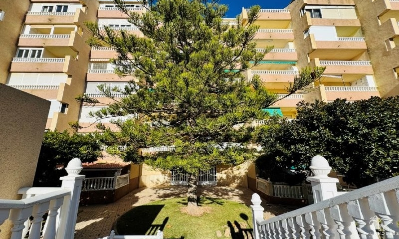 Revente - Apartment - La Mata - Costa Blanca