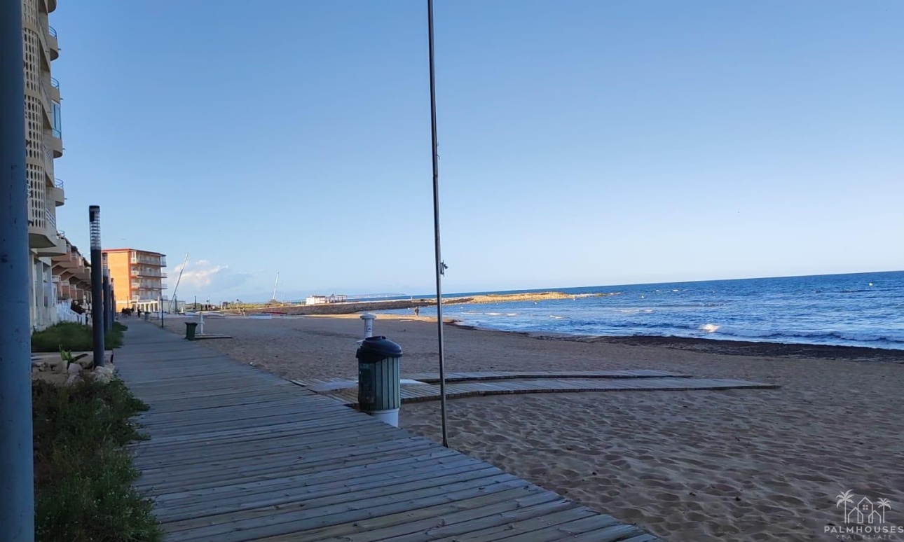 Revente - Apartment - La Mata - Playa la Mata