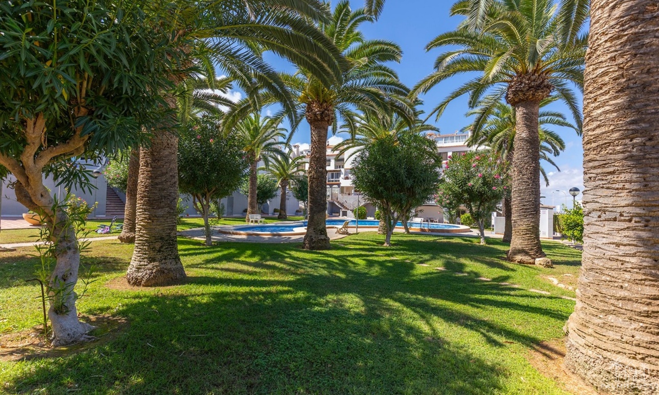 Revente - Apartment - La Mata