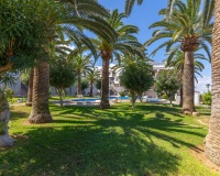 Revente - Apartment - La Mata