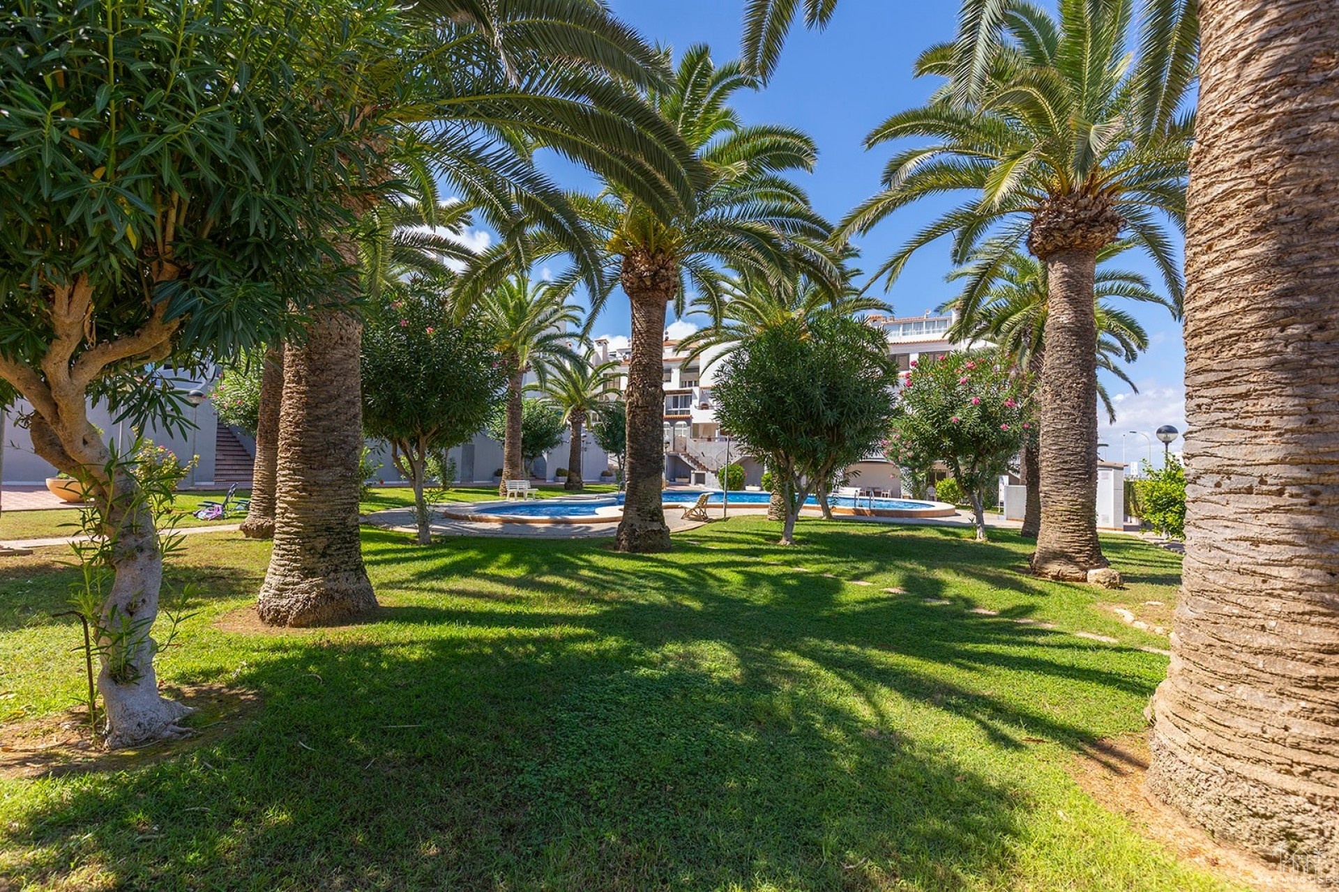 Revente - Apartment - La Mata