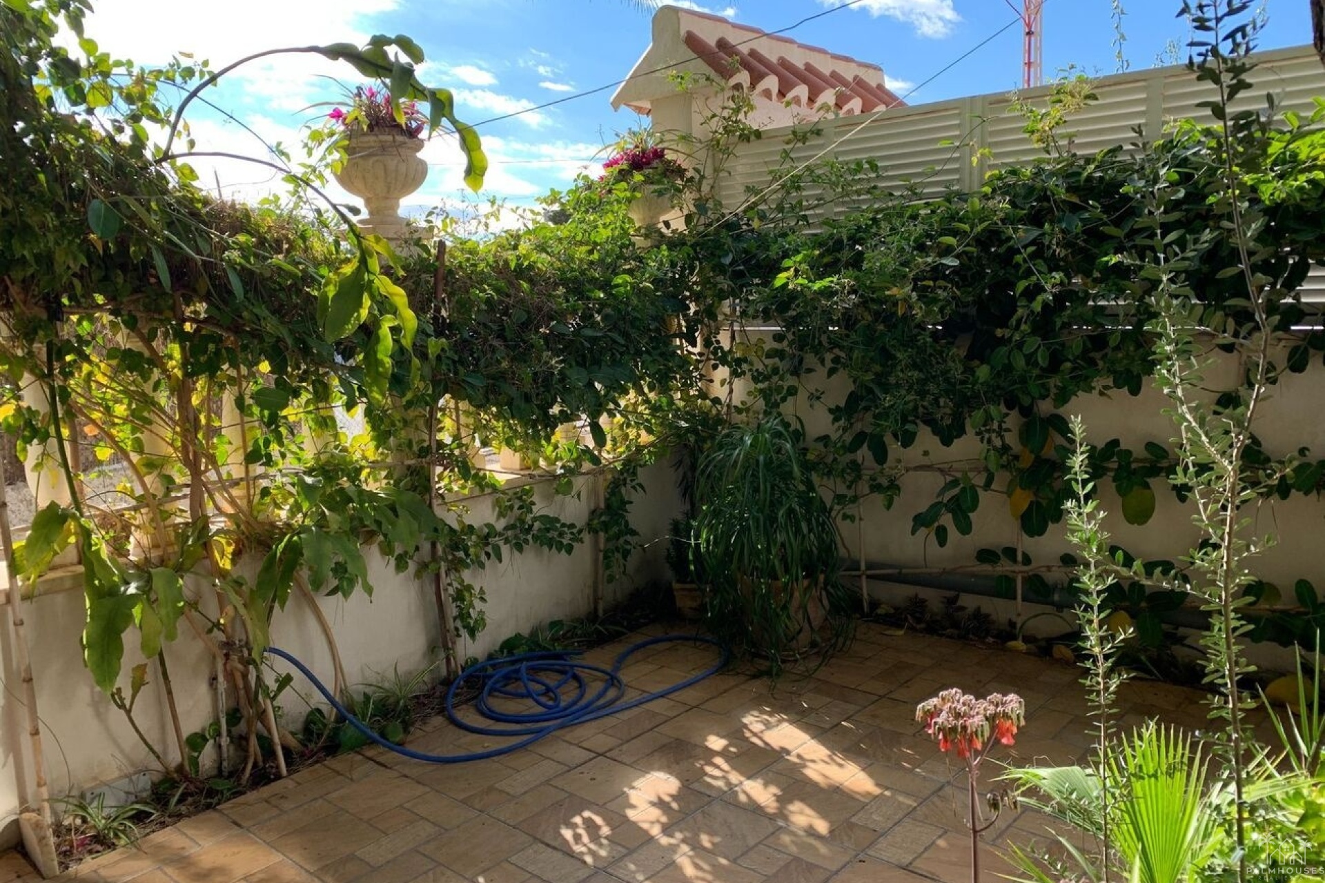 Revente - Apartment - La Zenia - Costa Blanca