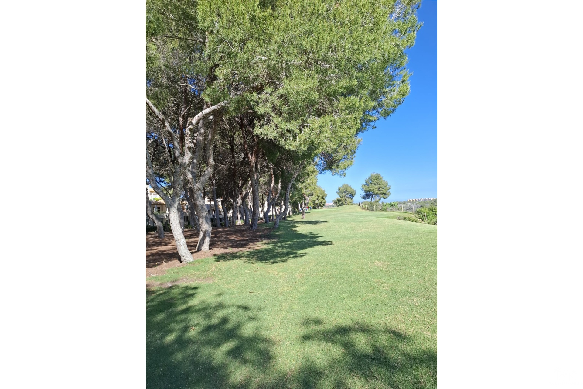 Revente - Apartment - Las Ramblas - Orihuela Costa