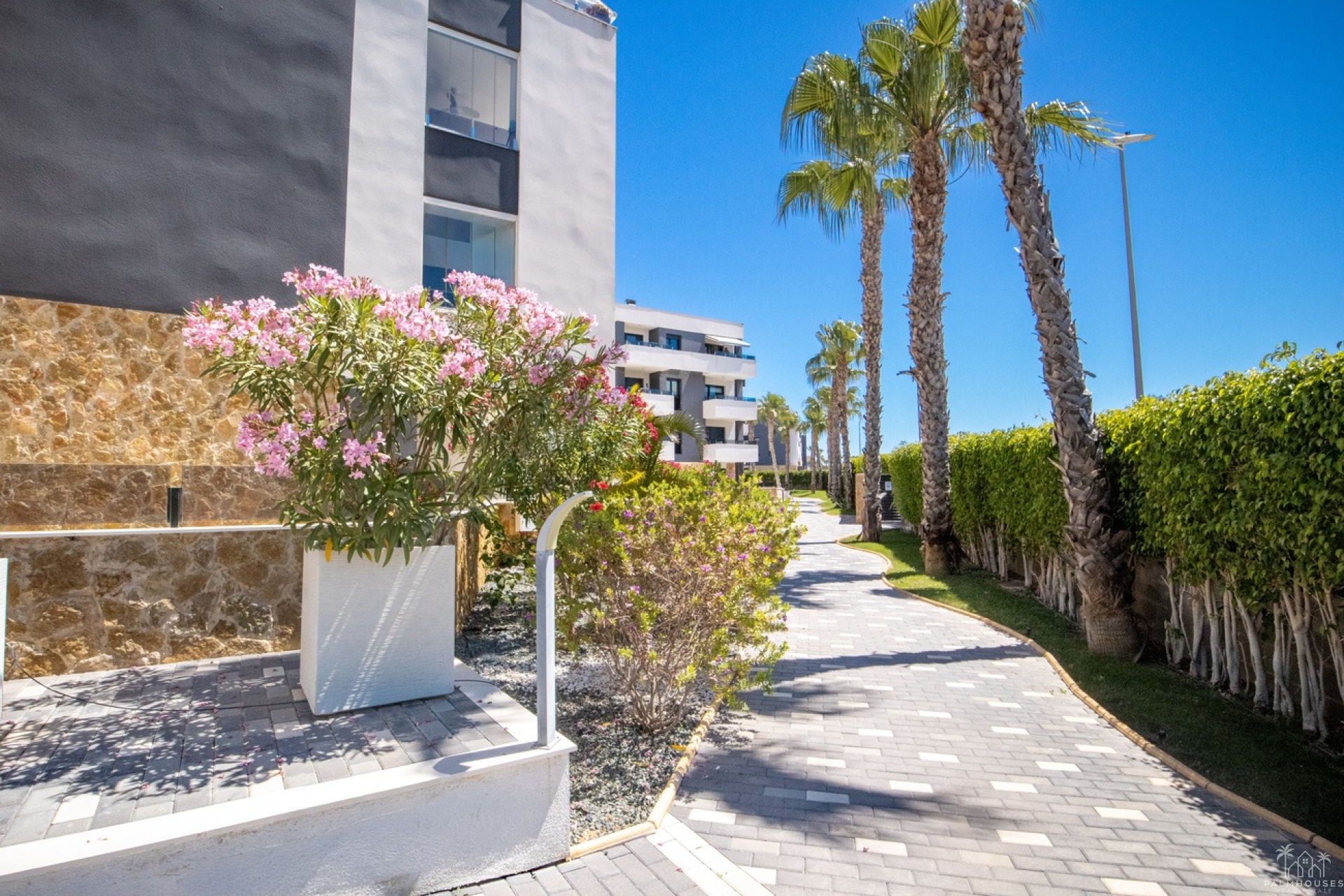 Revente - Apartment - Los Altos - AMANECER