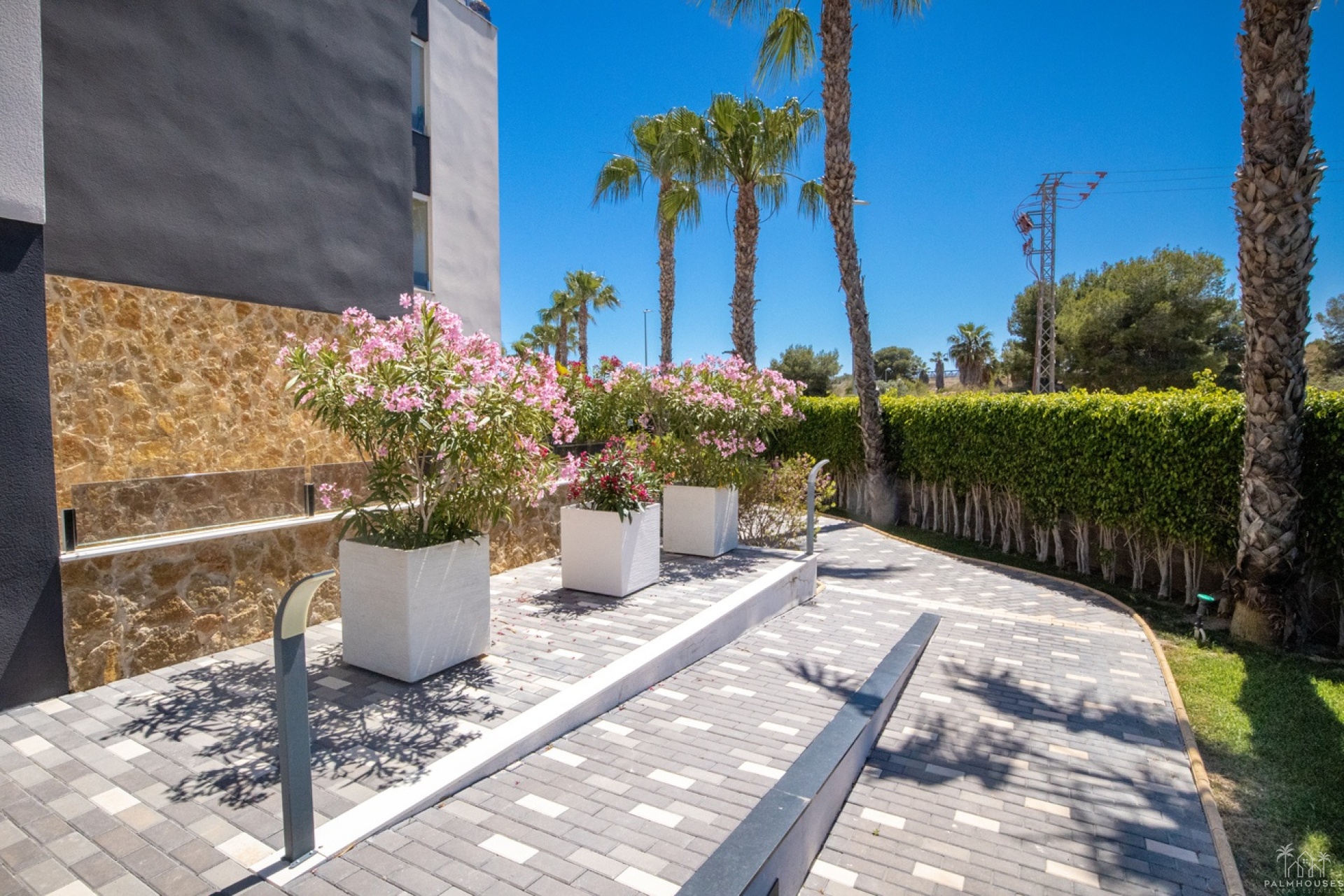 Revente - Apartment - Los Altos - AMANECER