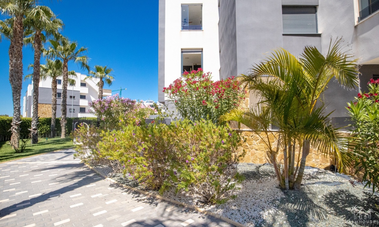Revente - Apartment - Los Altos - AMANECER