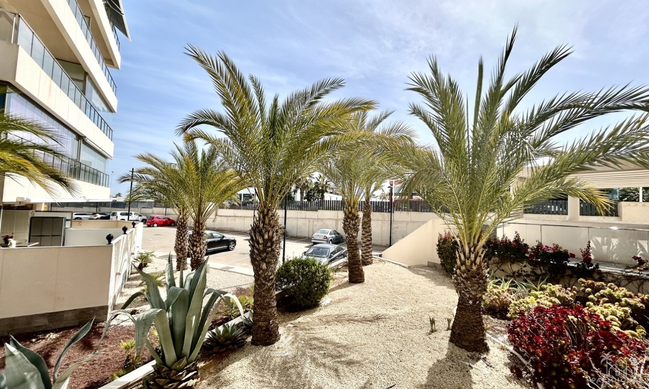 Revente - Apartment - Los Dolses - Inland