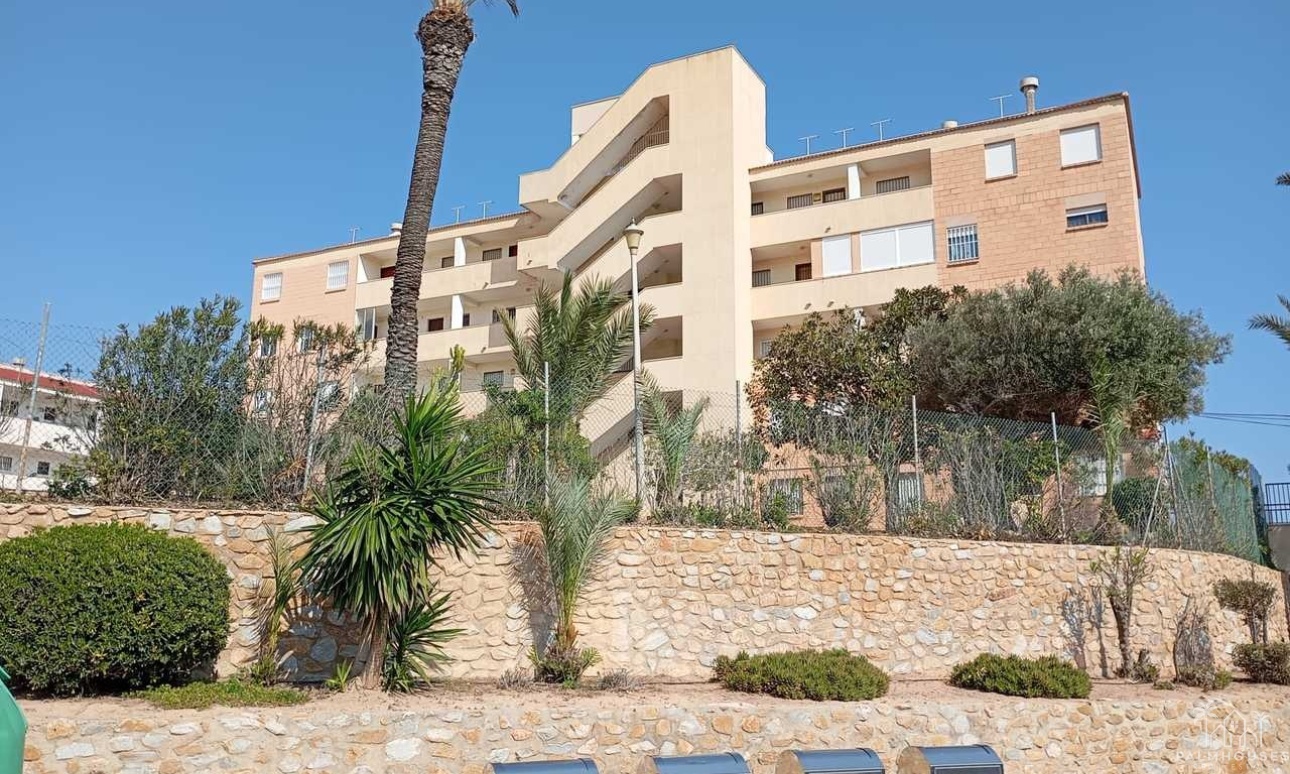 Revente - Apartment - Mil Palmeras - Costa Blanca