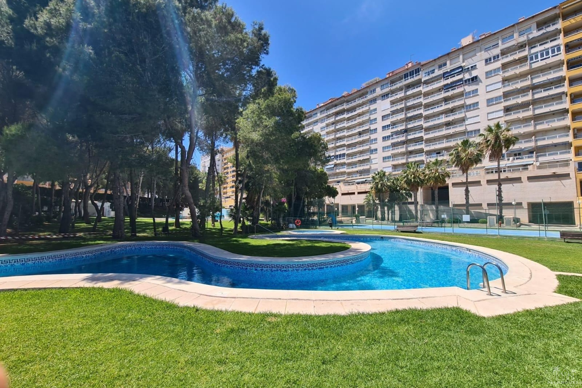 Revente - Apartment - Orihuela Costa - Campoamor