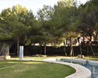Revente - Apartment - Orihuela Costa - Campoamor
