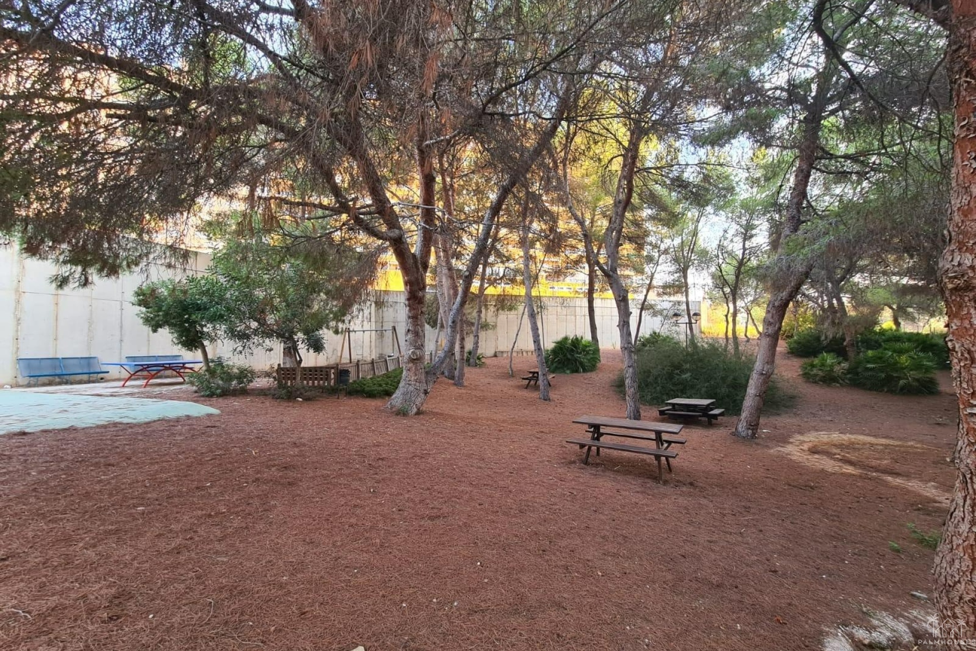 Revente - Apartment - Orihuela Costa - Campoamor