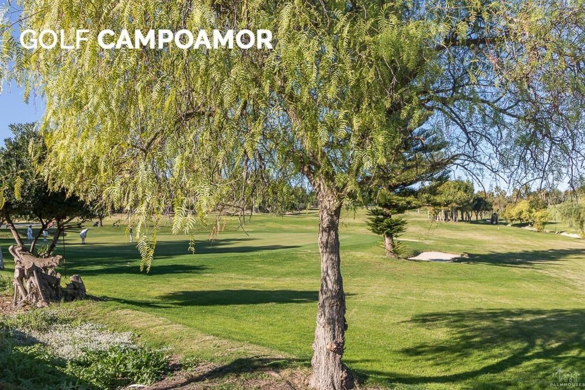 Revente - Apartment - Orihuela Costa - Campoamor