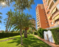 Revente - Apartment - Orihuela Costa - Campoamor