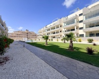 Revente - Apartment - Orihuela Costa - Costa Blanca