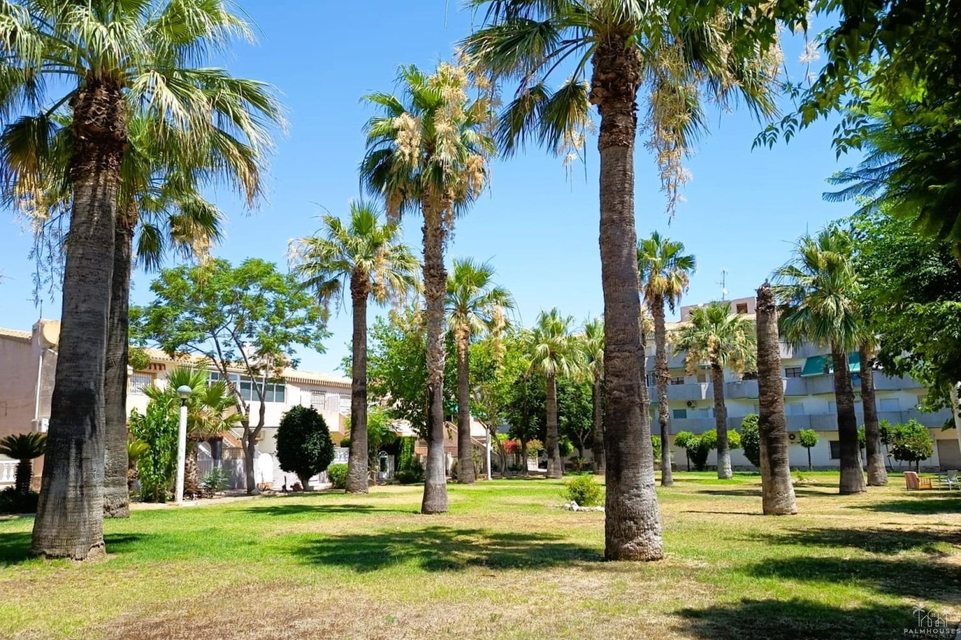 Revente - Apartment - Orihuela Costa - Costa Blanca