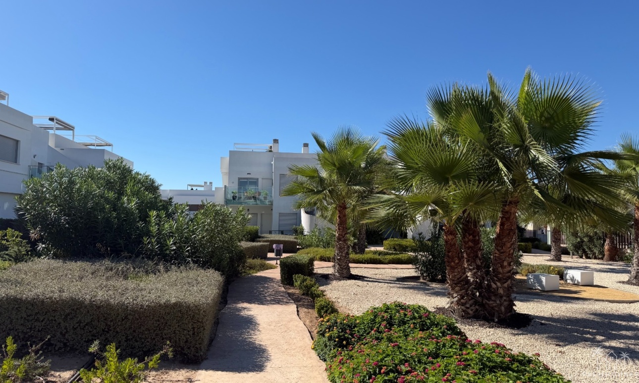Revente - Apartment - Orihuela Costa - Costa Blanca