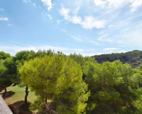 Revente - Apartment - Orihuela Costa - Las Ramblas Golf