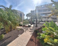 Revente - Apartment - Orihuela Costa - Los Dolses