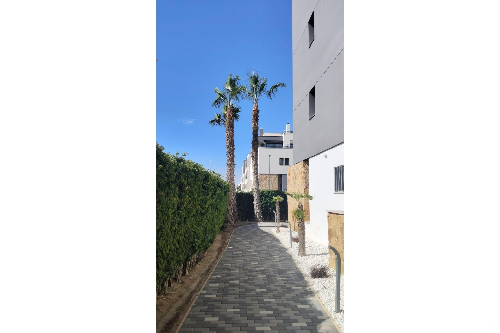 Revente - Apartment - Orihuela Costa - PAU 8