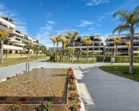 Revente - Apartment - Orihuela Costa - Playa Flamenca